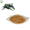 Ekstrak Rosmarinic Acid 10% Lemon Balm Untuk Kulit